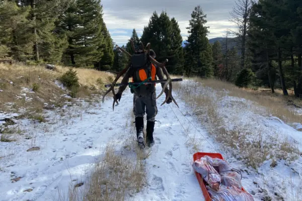 Real Estate Broker Daniel Mahoney Packing Out a Bull Elk after a Successful Hunt