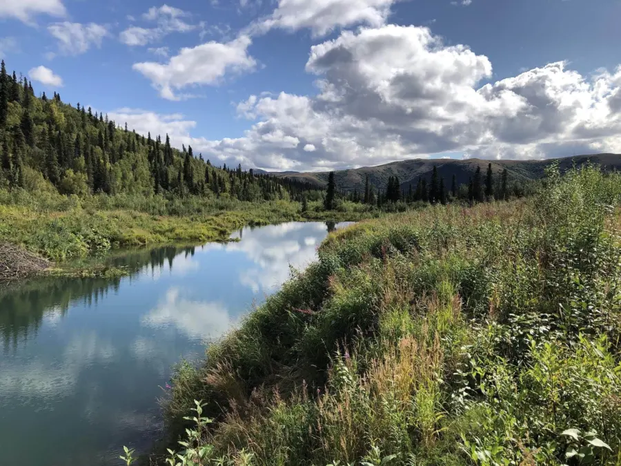 A clear river winds through lush green vegetation and tall trees, with hills in the background under a partly cloudy sky. The water reflects the clouds and surrounding landscape.