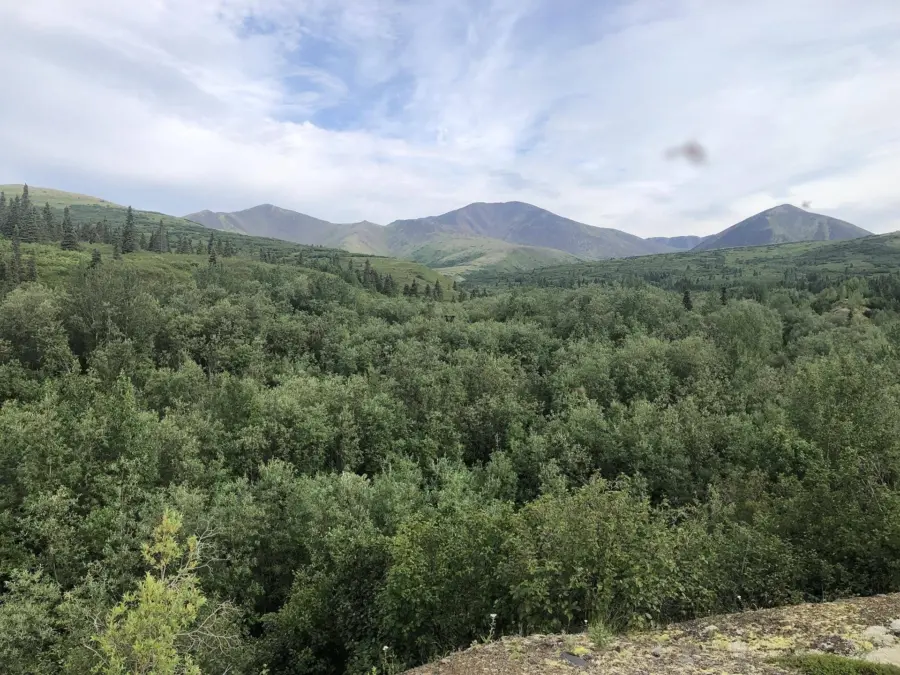 A lush green forest stretches across the foreground with rolling hills and distant mountains under a partly cloudy sky. Trees and bushes dominate the landscape, creating a dense, verdant scene.