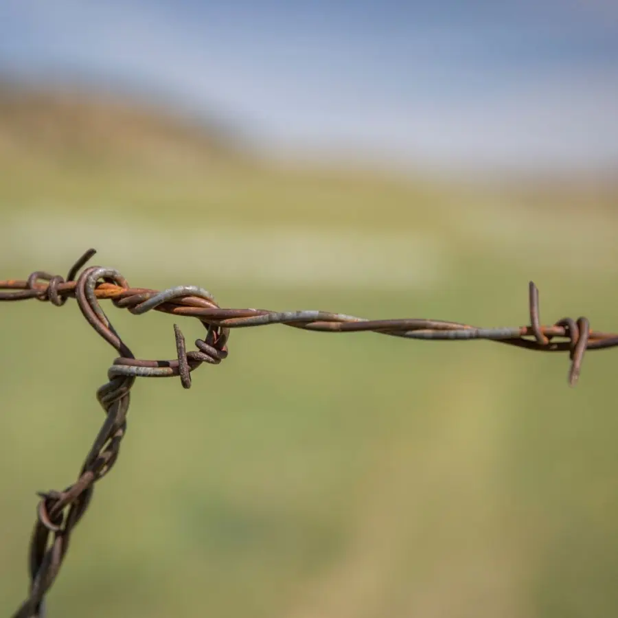 Close-up of a rusty barbed wire fence with a blurred green field and blue sky in the background.