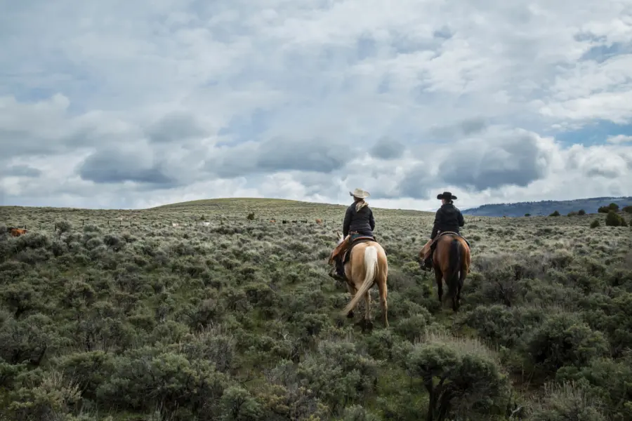 Two people wearing cowboy hats ride horses through a vast, grassy landscape under a cloudy sky, moving toward distant hills and cattle.