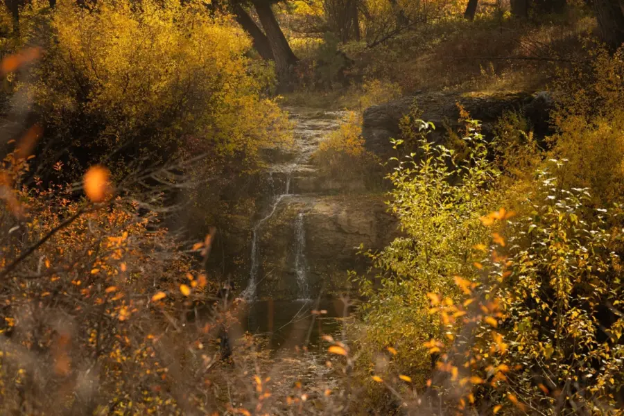 A small waterfall flows over rocks, surrounded by dense trees and bushes with golden-yellow leaves, creating a warm autumn scene. Sunlight filters through the foliage, casting a serene glow over the landscape.