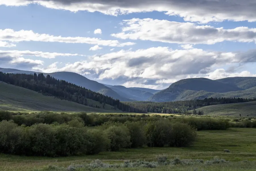A scenic landscape with green fields and bushes in the foreground, forested hills and mountains in the background, and a partly cloudy blue sky above.