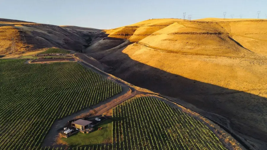 Aerial view of a small house and vineyard set against rolling golden hills with sparse vegetation, under a clear sky at sunset. The long shadows add depth to the landscape.