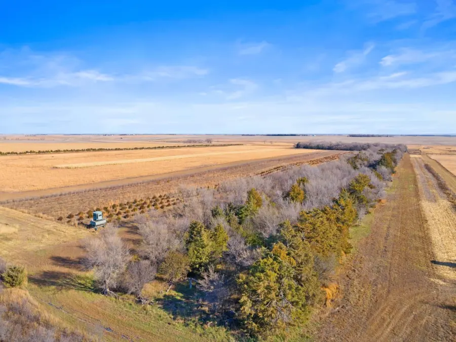 Aerial view of a rural landscape with golden fields, a line of trees running diagonally, and a blue sky above. A small vehicle is visible near the trees on the left side of the image.