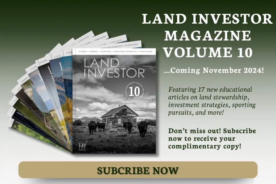 A promotional image for Land Investor Magazine Volume 10, showing fanned magazine covers, with text inviting readers to subscribe for a complimentary copy and announcing the November 2024 release.