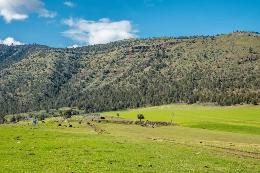 A wide green field with scattered trees and irrigation equipment in the foreground, set against a background of forested hills under a blue sky with some white clouds.