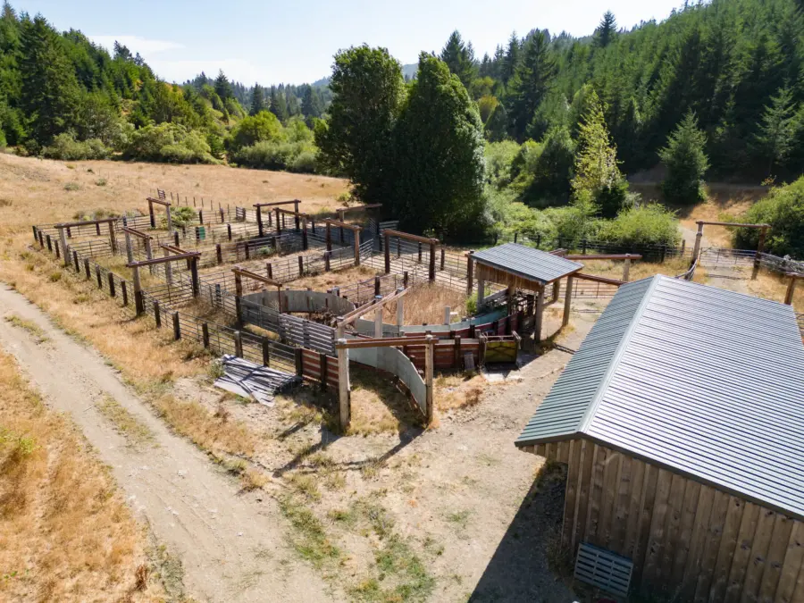 Aerial view of a fenced garden area with multiple wooden enclosures next to a small shed, set in a dry, grassy clearing surrounded by dense green forest.