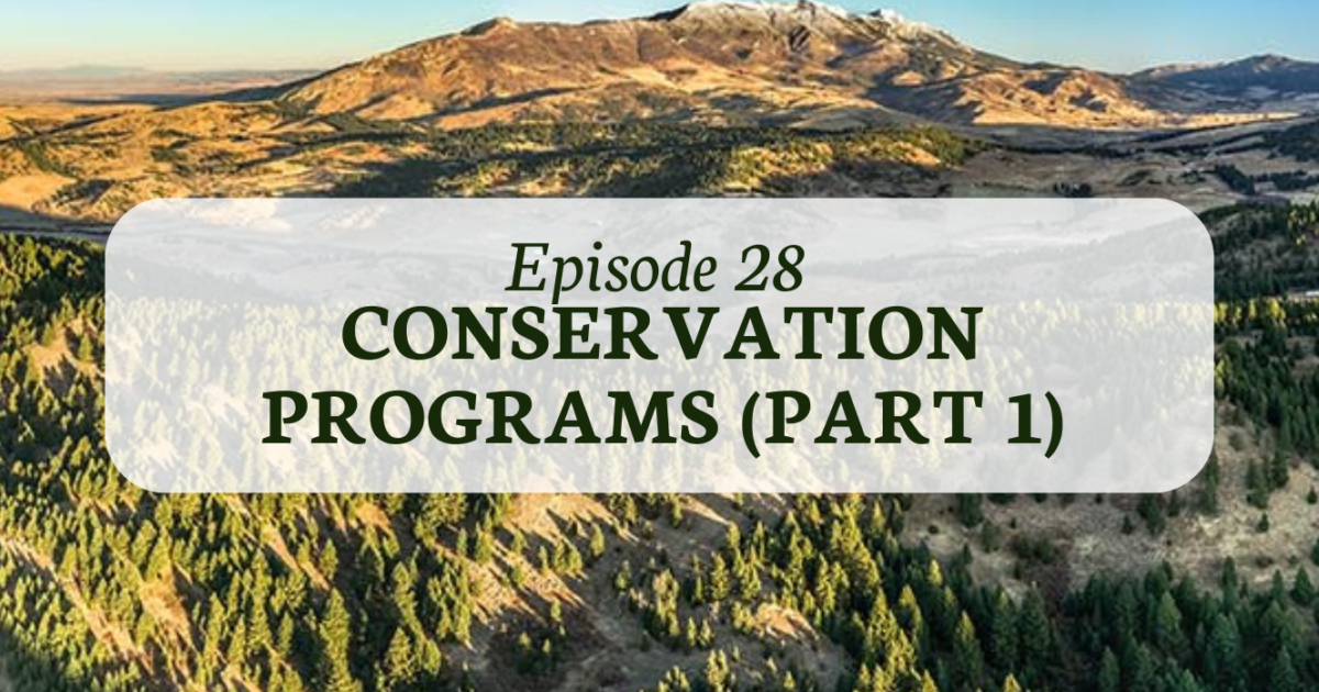 Land Investor | Land Investor Podcast - Conservation Programs